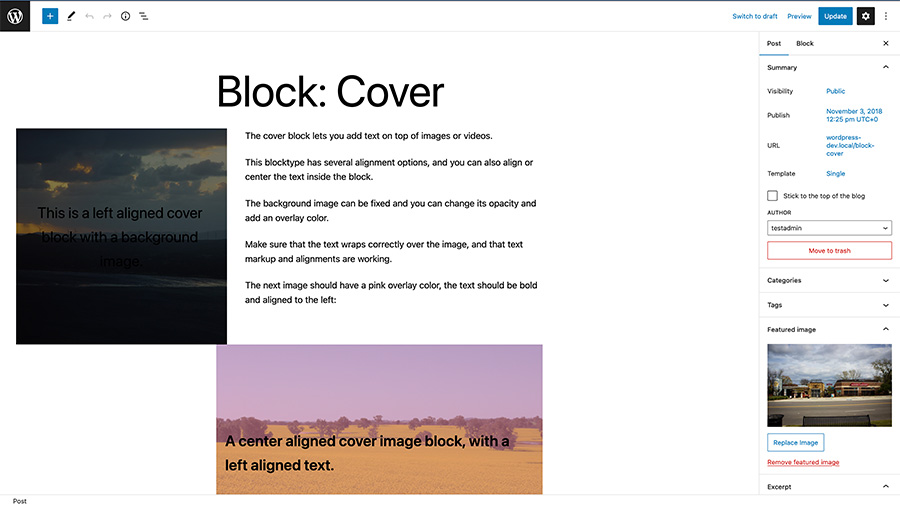 Screenshot of the block editor