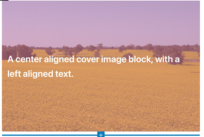 Screenshot of the cover block in the block editor