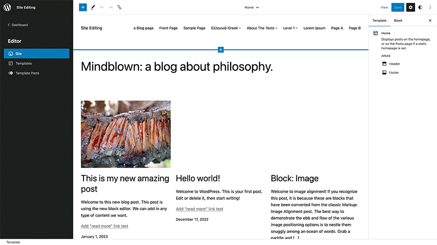 Screenshot of the WordPress full site editor