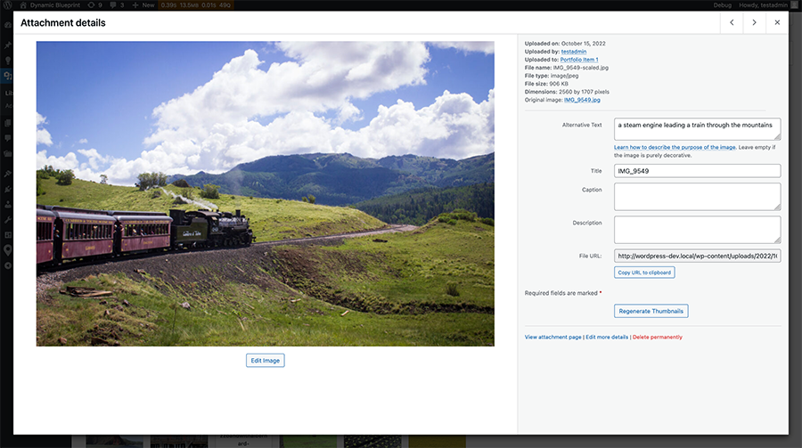 a screenshot of the image modal where you can add alternative text or edit the image