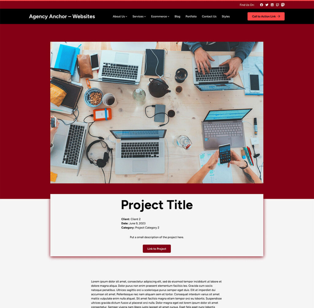 Screenshot of the Agency Anchor Websites demo site single project page
